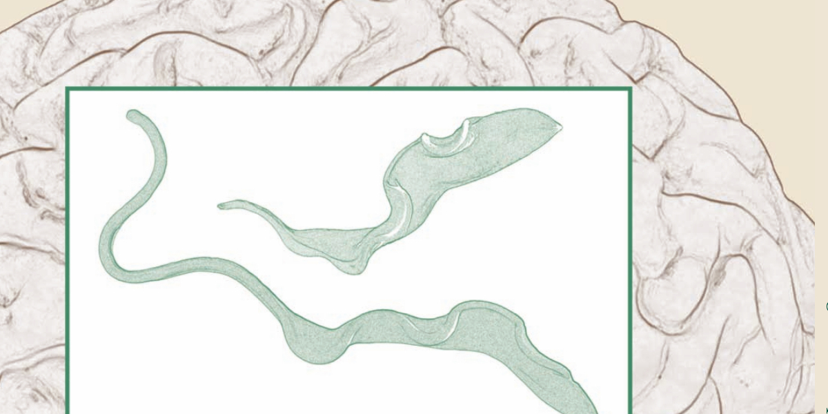 Cover Biological reviews