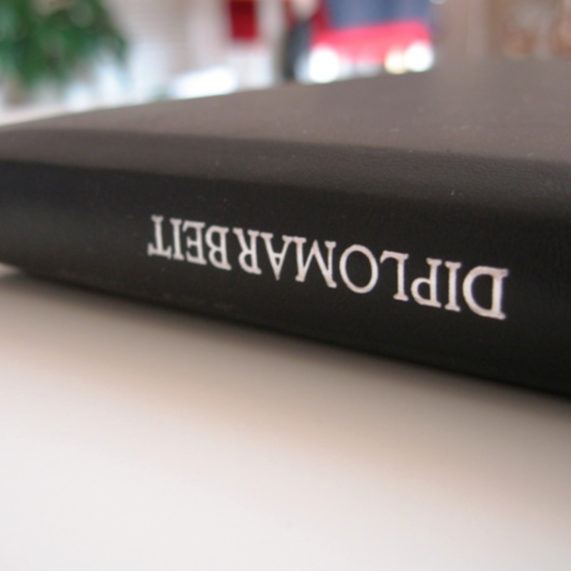 Diplomarbeit