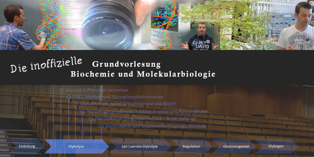 Grundvorlesung